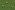 Jersey - Arbeitsfahrzeuge - khaki grün - 21864-027