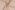 Flanel stof - licht oudroze - 7727-008