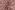 Flanel stof - schaapjes - roze - 3079-008