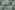 Tricot stof - digitaal fantasie - groen wit - 23926-10