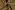Viscose stof - linnenmix slub - camel - 13579-053