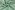 Tricot stof - gestreept - groen wit - JT222