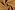 Polyester stof - mantelstof wool touch - camel - 22115-153