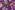 Viscose stof - Ecovero - bloemen - paars - 4007-012