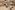 Tricot stof - digitaal fantasie - beige - 23056-14