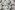 Tricot stof - digitaal bloemen - gebroken wit - 23946-22