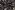Tricot stof - sportswear - bloemen - zwart - 20329-069