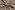 Stretch stof - bengaline - abstract - beige multi - 22227-008