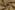 Texture stof - camel - 2795-053
