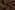 Texture stof - cognac - 2795-054