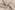 Fleece stof - Alpenfleece - beige - 14370-052