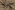 Fleece stof - Alpenfleece - beige - 14370-053