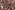 Tricot stof -abstract - bordeaux bruin - 21109-019