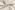 Kerst katoen stof - kerst motief - off-white - 20759-052