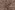 Tricot stof - mammoet - melange taupe - 23/3114-016