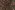Tricot stof - bloemen - legergroen - 23/3121-009