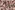 Viscose stof - twill - bloemen - bruin - 21129-100