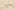 Katoen stof - hydrofiel - bloemetjes - beige - 20530-176