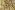 Tricot stof - gestreept - oker wit - JT36