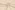Katoen stof - hydrofiel - sterretjes - beige - 20530-174