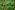 Tricot stof - digitaal abstract - groen multi - 24015-10