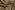 Fluweel stof - gepreekt golven - camelbeige - 22092-053