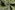Doorgestikte stof - jacquard ruiten - lime - 22257-023