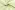 Tafelzeil - bloemen - lichtgroen - 1857-025