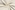 Badstof - rekbare badstof - gebroken wit - 11707-051