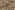Stretch stof - cotton velvet - digitaal abstract - beige zwart - 21300-178
