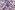 Baumwolle - Voile - Blumen - Lavendel - 4141-005