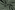 Badstof - Rekbare badstof - oudgroen - 11707-022