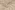 Tricot stof - corduroy - beige - 0729-178