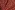 Baumwolle - floral fantasy - karamell - 24/4195-005