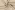 Polyester stof - linnenlook - beige - 23229-052