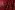Pailletten stof - scallop sequin - rood - 0830-425