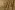 Pailletten stof - scallop sequin - goud - 0830-540