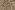 Tencel-Stoff - Mischung - beige - 792025-321
