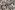 Viscose stof - stretch - digitaal bladeren - zwart - 21671-999