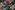 Polyesterstoff - Gobelin - Blumen - schwarz - 3452-001