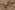 Polyester stof - linnenlook - taupe - 23229-054