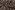 Gesteppter Stoff - stepped velvet - digitaler Tierdruck - braun - 3745-001