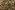Jersey - digitaler Pantherdruck - schwarz-beige - 25826-33VI