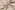 Linnen stof - ramie - stone washed - beige - 2155-252