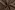 Taftzijde stof - taupe bruin - 5516-054