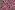 Jersey - French Terry - Leopard Neon Herz - Creme - 20106-550