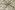 Katoen stof - batik - voile - abstract - beige - 23359-052
