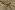 Katoen stof - batik - voile - abstract - beige - 23360-052