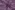 Katoen stof - poplin - bloemen - lavendel paars - 25/5180-003
