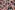 Viscose stof - digitaal bloemen - roze multi - 922780-61